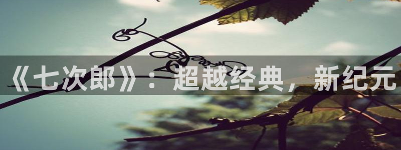 l藍(lán)莓視頻