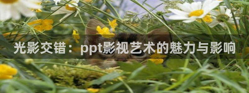 在線無限看免費藍莓視頻
